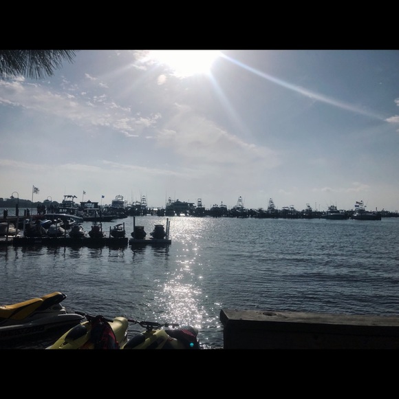 sunnydays_1